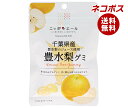 ネコポス JA全農 ニッポンエール 千葉県産豊水梨 グミ 40g×10袋入| 全国送料無料 お菓子 グミ 国産 日本産 全農