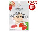 ネコポス JA全農 ニッポンエール 群馬やよいひめ苺 グミ 40g×10袋入| 全国送料無料 お菓子 グミ 国産 日本産 全農
