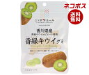 ネコポス JA全農 ニッポンエール 香川県香緑キウイ グミ 40g×10袋入| 全国送料無料 お菓子 グミ 国産 日本産 全農