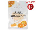 ネコポス JA全農 ニッポンエール 愛知県産蒲郡みかん グミ 40g×10袋入| 全国送料無料 お菓子 グミ 国産 日本産 全農