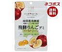 ネコポス JA全農 ニッポンエール 岐阜県産飛騨りんご グミ 40g×10袋入| 全国送料無料 お菓子 グミ 国産 日本産 全農