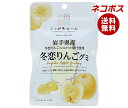 ネコポス JA全農 ニッポンエール 岩手県産冬恋りんご グミ 40g×10袋入| 全国送料無料 お菓子 グミ 国産 日本産 全農