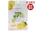 ネコポス JA全農 ニッポンエール 高知県産ゆず グミ 40g×10袋入| 全国送料無料 お菓子 グミ 国産 日本産 全農