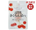 ネコポス JA全農 ニッポンエール 山形県産さくらんぼ グミ 40g×10袋入| 全国送料無料 お菓子 グミ 国産 日本産 全農
