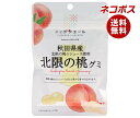 ネコポス JA全農 ニッポンエール 秋田県産北限の桃 グミ 40g×10袋入| 全国送料無料 お菓子 グミ 国産 日本産 全農
