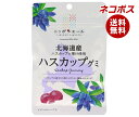 ネコポス JA全農 ニッポンエール 北海道ハスカップ グミ 40g×10袋入| 全国送料無料 お菓子 グミ 国産 日本産 全農