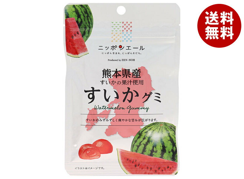 JA全農 ニッポンエール 熊本県産すいか グミ 40g×10袋入｜ 送料無料 お菓子 グミ 国産 日本産 全農