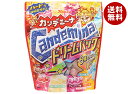 カンロ カンデミーナグミ ドリームパック 152g×4袋入×(2ケース)| 送料無料 お菓子 袋 グミ ハード食感