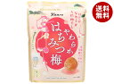 カンロ やわらかはちみつ梅 40g×6袋入×(2ケース)| 送料無料 お菓子 素材菓子 うめ ハチミツ