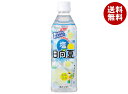 サンA 塩日向夏 490mlペットボトル×24本入| 送料無料 果汁 果実飲料 PET 日向夏