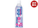サンA 満潮の塩梅 490mlペットボトル×24本入×(2ケース)| 送料無料 清涼飲料水 塩 梅風味 PET