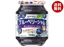 カンピー ブルーベリージャム 700g瓶×6個入×(2ケース)| 送料無料 ジャム ブルーベリー 瓶 嗜好品