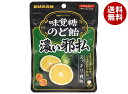 UHA味覚糖 味覚糖のど飴 濃い邪払 62g×6袋入×(2ケース)| 送料無料 お菓子 飴 のど飴 のどあめ じゃばら