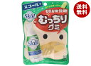 UHA味覚糖 むっちりグミ スコール 64g×10袋入×(2ケース)| 送料無料 お菓子 袋 グミ ハードグミ