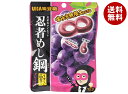 UHA味覚糖 忍者めし鋼 グレープ味 45g×10袋入×(2ケース)| 送料無料 ハードグミ 忍者式ダイエット グレープ 葡萄