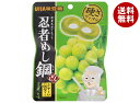 UHA味覚糖 忍者めし鋼 マスカット味 45g×10袋入×(2ケース)| 送料無料 ハードグミ 忍者式ダイエット グレープ