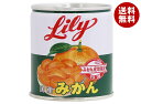 リリーコーポレーション Lily リリーのみかん 5号缶 295g缶×24個入×(2ケース)| 送料無料 缶詰 果物 菓子材料 ミカン