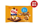 江崎グリコ ビスコ大袋 発酵バター仕立て アソートパック 32枚×8袋入| 送料無料 お菓子 ビスケット 乳酸菌 カルシウム ビタミン