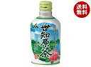 JA長崎 リンアイ 世知原茶 290mlボトル缶×24本入| 送料無料 お茶 ボトル缶 せちばる 長崎産 緑茶