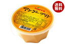 ユウキ食品 マンゴープリン 300g×24(12×2)個入×(2ケース)| 送料無料 プリン デザート マンゴー フルーツ