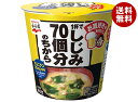 永谷園 1杯でしじみ70個分のちから カップみそ汁 19.6g×6個入×(2ケース)| 送料無料 一般食品 インスタント食品 味噌汁 みそ汁 カップ