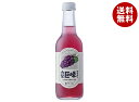 友桝飲料 山梨 巨峰サイダー 245ml瓶×24本入×(2ケース)| 送料無料 サイダー ぶどう グレープ 炭酸 葡萄