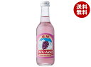 友桝飲料 ナガノパープルサイダー 245ml瓶×24本入×(2ケース)| 送料無料 サイダー ぶどう グレープ 炭酸 葡萄
