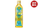 サントリー 伊右衛門(いえもん) 特茶 ジャスミン【手売り用】【特定保健用食品 特保】 500mlペットボトル×24本入×(2ケース)| 送料無料 特保 トクホ お茶 体脂肪