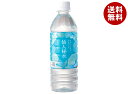 釜石鉱山 仙人秘水 500mlペットボトル×24本入×(2ケース)| 送料無料 ミネラルウォーター 仙人 秘水