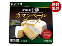よつ葉乳業 よつ葉 北海道十勝 カマンベールチーズ 90g×12個入 メーカー 問屋直送 チルド 冷蔵品| 送料無料 チーズ 乳製品 北海道 よつ葉
