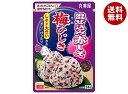 丸美屋 混ぜ込み赤しそ 梅ひじき 24g×10袋入×(2ケース)| 送料無料 マルミヤ ふりかけ 混ぜ込みごはんの素
