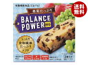 ハマダコンフェクト バランスパワービッグ 果実たっぷり 2袋×16(8×2)個入×(2ケース)| 送料無料 栄養補給 クッキー ビタミン 鉄分 カルシウム