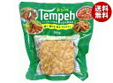 ヤマク食品 テンペ 100g×10袋入×(2ケース)| 送料無料 インドネシア 大豆 発酵 発酵食品