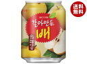 五星コーポレーション ヘテ飲料 梨ジュース 238ml缶×24(12×2)本入×(2ケース)| 送料無料 韓国 すりおろし なし ナシ ジュース