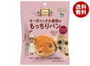 ノースカラーズ オーガニック小麦粉のもっちりパン オーガニックレーズン 1個×12袋入| 送料無料 オーガニック パン 有機小麦 有機レーズン 菓子パン