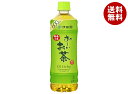 伊藤園 お〜いお茶 緑茶【手売り用】 600mlペットボトル×24本入| 送料無料 緑茶 手売り用おーいお茶 茶 お茶 ギフト ペットボトル 24本