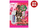 【送料無料・メーカー/問屋直送品・代引不可】リボン 生梅飴 90g×12袋入| お菓子 あめ キャンディー 飴 袋
