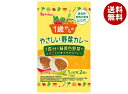 ハウス食品 1歳からのやさしい野菜カレー 100g(50gx2袋)×40個入×(2ケース)| 送料無料 カレー レトルト 子供 1歳 野菜カレー