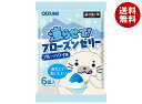 オーイズミ下仁田 フローズンゼリー ブルーハワイ味 6個入×16袋入| 送料無料 OIZUMI おやつ 生菓子 ゼリー 凍らせて