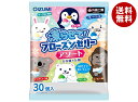 オーイズミ下仁田 フローズンゼリー アソート 30個入×12袋入×(2ケース)| 送料無料 OIZUMI おやつ 生菓子 ゼリー 凍らせて メロン いちご ブル...