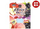 オーイズミ下仁田 蒟蒻工房 メガパックアソート 960g×6袋入| 送料無料 OIZUMI おやつ 生菓子 こんにゃくゼリー ゼリー ダイエット ぶどう もも ...