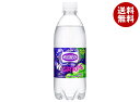 アサヒ飲料 ウィルキンソン タンサン ダブルグレープ 500mlペットボトル×24本入×(2ケース)| 送料無料 強炭酸 炭酸水 割り材 ぶどう