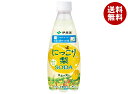 伊藤園 ニッポンエール 栃木県産 にっこり梨ソーダ 410mlペットボトル×24本入| 送料無料 炭酸 フルーツ 梨