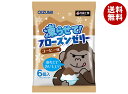 オーイズミ下仁田 フローズンゼリー コーヒー味 6個入×16袋入×(2ケース)| 送料無料 OIZUMI おやつ 生菓子 ゼリー 凍らせて