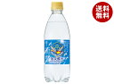 チェリオ 強炭酸水 500mlペットボトル×24本入×(2ケース)| 送料無料 強炭酸 炭酸水 500ml 炭酸 割り材 シリカ