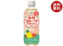 不二家 南国フルーツスカッシュ 500mペットボトル×24本入×(2ケース)| 送料無料 炭酸 フルーツ ミックスジュース 炭酸飲料(4)