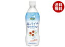 ダイドー ミスティオ 塩とライチスパークリング 410mlペットボトル×24本入| 送料無料 熱中症対策 炭酸 塩分 ライチ スパークリング