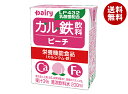 南日本酪農協同 デーリィ カル鉄飲料 ピーチ 200ml紙パック×18本入×(2ケース)| 送料無料 栄養機能食品 カルシウム 鉄分 もも
