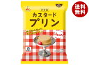 井村屋 袋入 カスタードプリン 4個×10袋入×(2ケース)| 送料無料 プリン 袋 洋菓子 お菓子