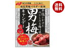 ノーベル製菓 男梅 80g×6袋入×(2ケース)| 送料無料 お菓子 飴 キャンディー 袋 うめ